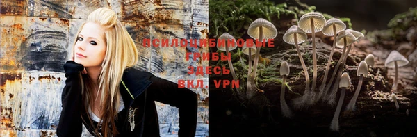 крисы Верхний Тагил